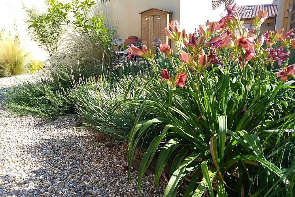 Elicriso Villa Riola Sardo Italia